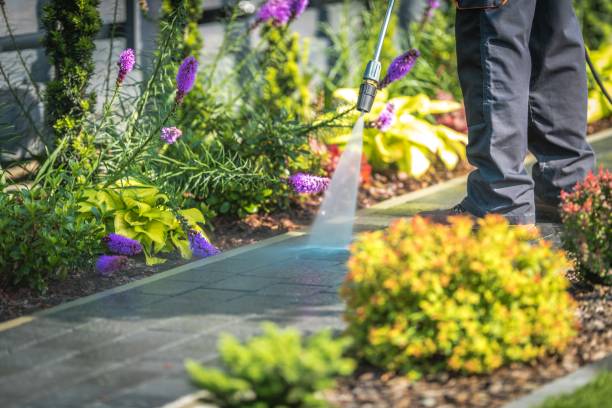 Reliable Pontiac, IL  Pressure Washing Services Solutions