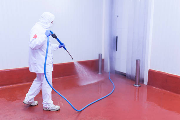 Best Concrete Sealing  in Pontiac, IL